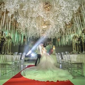 Meet your Posher, Ferly